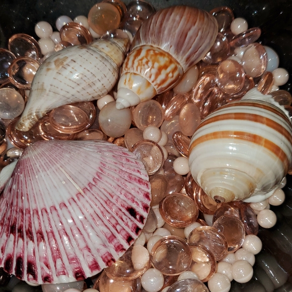 1qt Glass Pearls, Pink Irredescent Glass & Pink Cabachons, 4 shells🐚(3lbs 13oz) - Picture 5 of 6